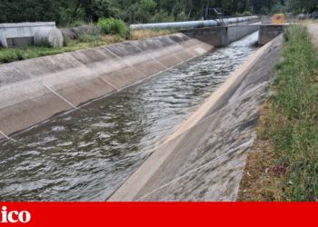 Water is already flowing in the Mondego irrigation canal. The rare case of a work completed on time | Coimbra