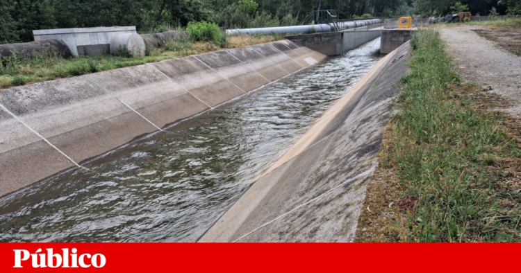 Water is already flowing in the Mondego irrigation canal. The rare case of a work completed on time | Coimbra