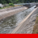 Water is already flowing in the Mondego irrigation canal. The rare case of a work completed on time | Coimbra