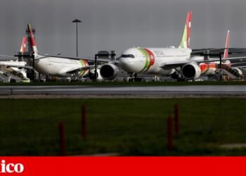 TAP is preparing to have the largest fleet ever | Aviation