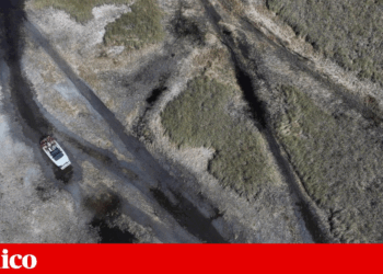 Almost two-thirds of the United States is suffering from drought | United States