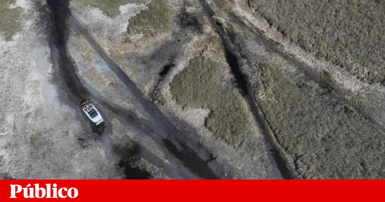 Almost two-thirds of the United States is suffering from drought | United States