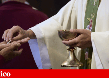 Outraged, Catholics accuse bishops of “disaster” in the treatment of abuse victims | Sexual abuse