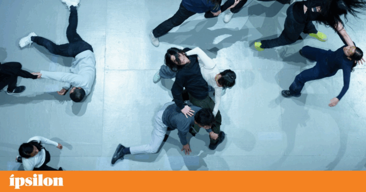 Serralves em Festa, “hopeful and restless” in the year of its 20th anniversary | Performing arts
