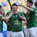 Carpathians defeated Rukh in the 25th round of the championship of Ukraine Football
