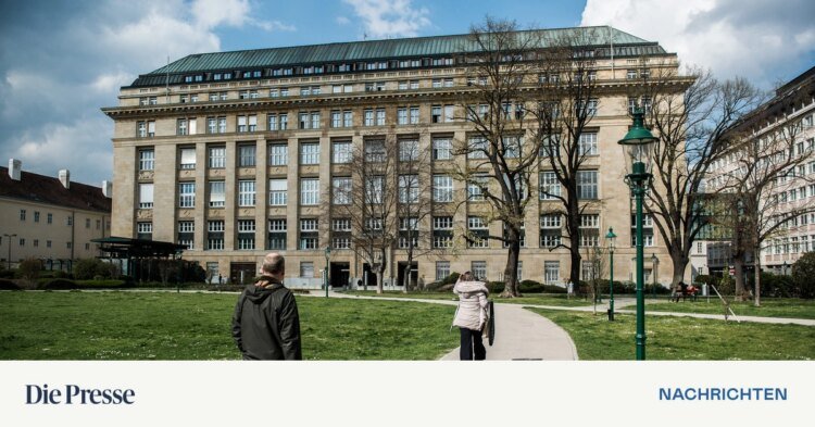 Will the bank levy make loans more expensive? – DiePresse.com