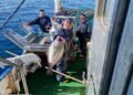 Statutes for gillnet fishing set restrictions on fishing