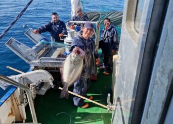 Statutes for gillnet fishing set restrictions on fishing