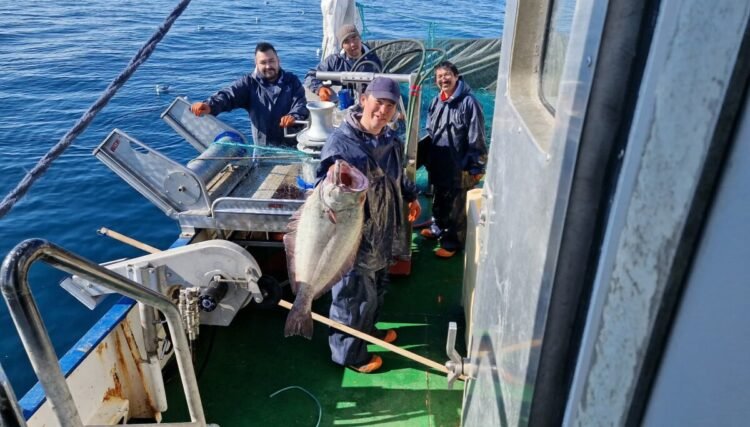 Statutes for gillnet fishing set restrictions on fishing