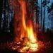 What does volbripäev, or Walpurgis Day, celebrate? | News