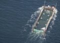 Humpback whale “Timmy”: Convoy continues north