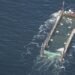 Humpback whale “Timmy”: Convoy continues north
