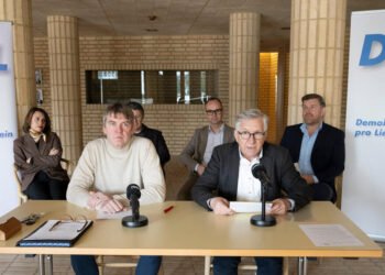 DpL insist on compatibility with the EEA