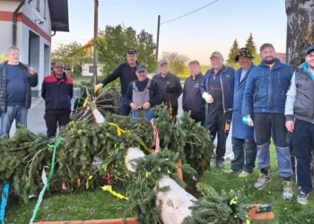 Labor Day was celebrated in Orehovci by setting up a May tree