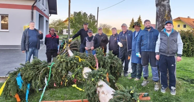 Labor Day was celebrated in Orehovci by setting up a May tree