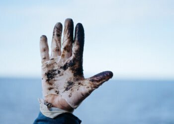 Oil pollution from Russia’s Ust-Luga region washes up on Estonia’s beaches | News