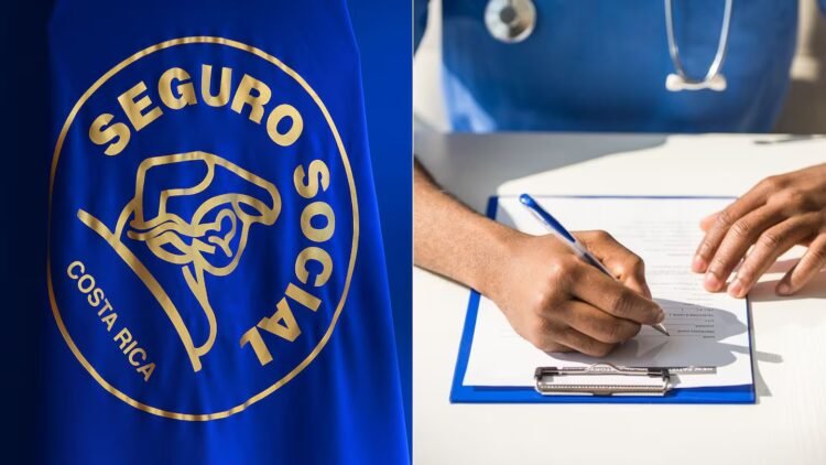 CCSS creates 588 places: this will be their distribution