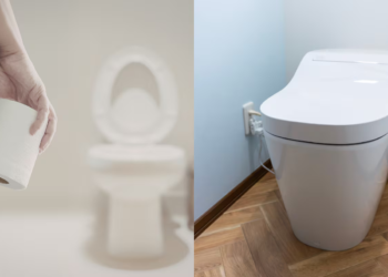 The end of an era: what toilet paper will be replaced with in homes