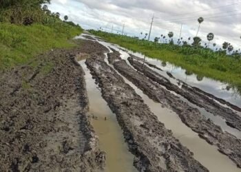 Crisis in Chaco: truckers stranded for three weeks – National