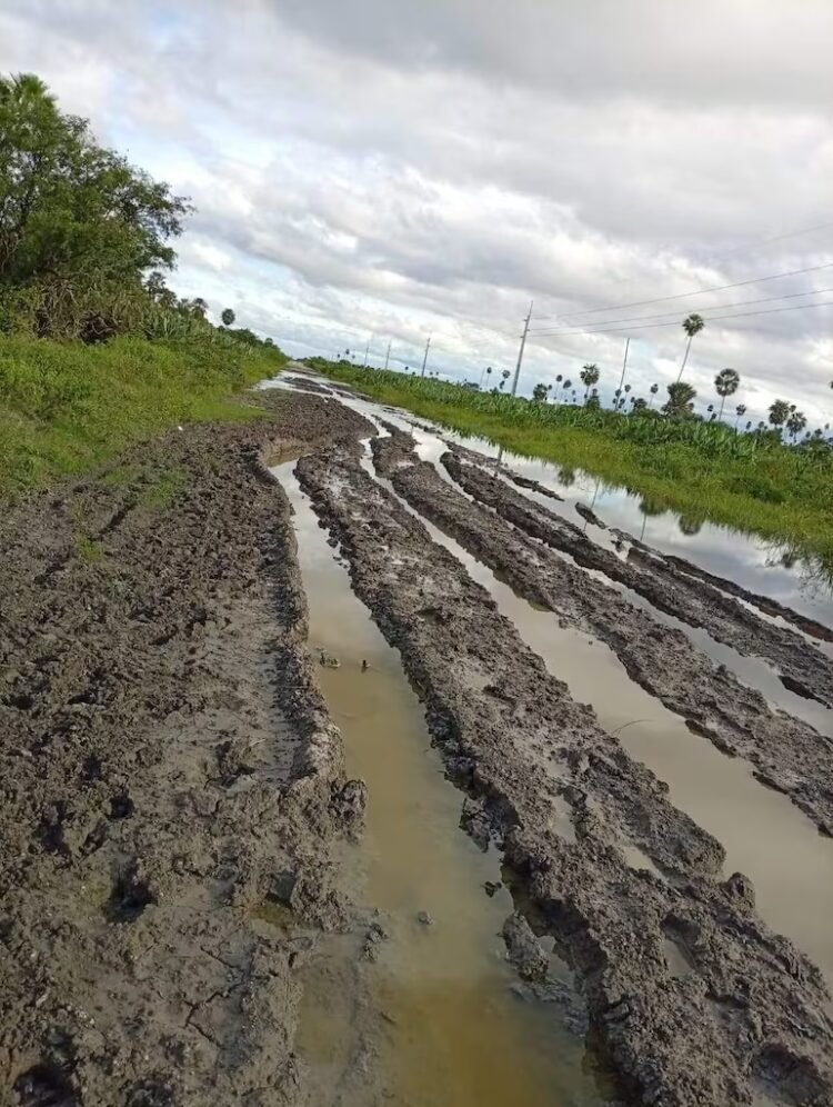 Crisis in Chaco: truckers stranded for three weeks – National