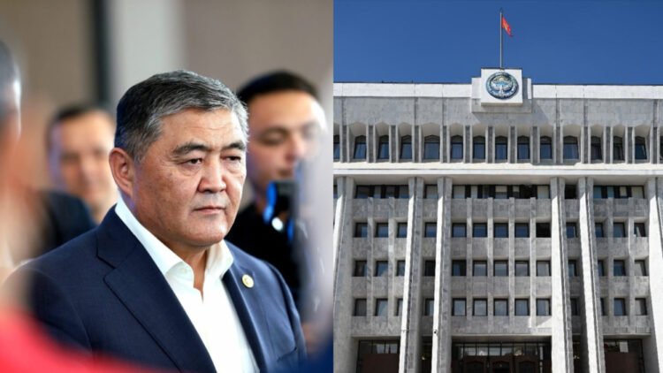 Deputies of the Parliament about the “conspiracy”, accusations and consequences for the country. Survey