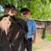 In Bishkek, a man accused his wife of domestic violence – AKIpress report