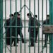 In Moldova, about 150 thousand lei are spent annually on the maintenance of one prisoner, while only every fifth one works