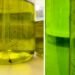 Germ spinner in the hotel shower: What guests should know about dispenser bottles