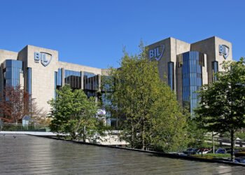 2025 summary: BIL reports 210 million in profits