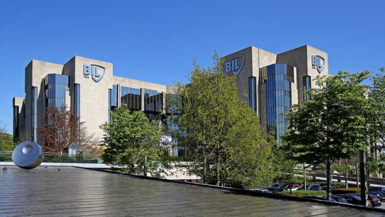 2025 summary: BIL reports 210 million in profits