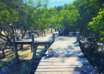 European tourist arrivals to Wah Ale Resort to conclude by mid-May