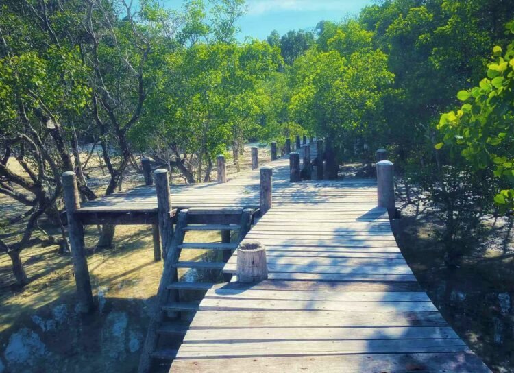 European tourist arrivals to Wah Ale Resort to conclude by mid-May