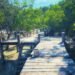 European tourist arrivals to Wah Ale Resort to conclude by mid-May