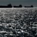 Russian ‘shadow fleet’ undeterred by Starmer’s threat as nearly 100 ships cross U.K. waters