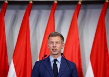 People linked to top Orban aide were blocked trying to send funds abroad, Hungary’s Magyar says