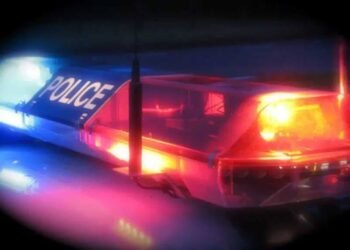 TTPS detains seven on PDOs in Oropune Gardens