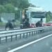 00:43FranceHorses cause chaos on the French motorway131381