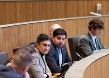 The majority and Andorra Andavant approve the Nationality Law