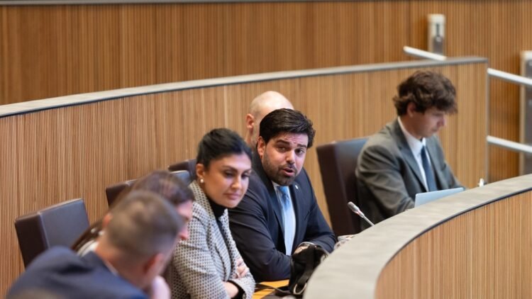 The majority and Andorra Andavant approve the Nationality Law