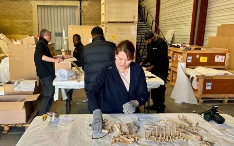 Working Group Visits Paris to Repatriate Dinosaur Fossils