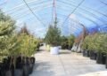 Billions of Trees Expo to Open Ahead of Planting Campaign