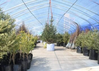 Billions of Trees Expo to Open Ahead of Planting Campaign