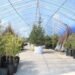 Billions of Trees Expo to Open Ahead of Planting Campaign