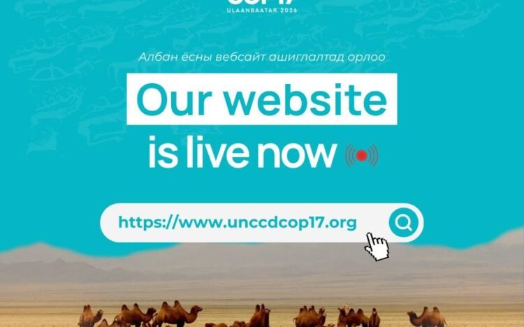 Official Website of the UN Convention COP17 Launched