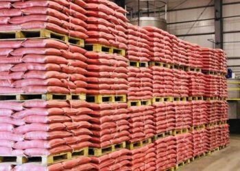Waste Animal Bones Processed into Organic Fertilizer, Feed, and Raw Material for Aviation Diesel Fuel