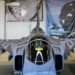 Gripen Jet Gets Spectacular Special Livery for the “NATO Tiger Meet”
