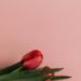 Flowers: elegance and details in the business world