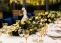 How to organize formal meals? Some details to take into account