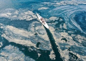 One of the biggest causes of mucilage in the Sea of ​​Marmara is untreated water.