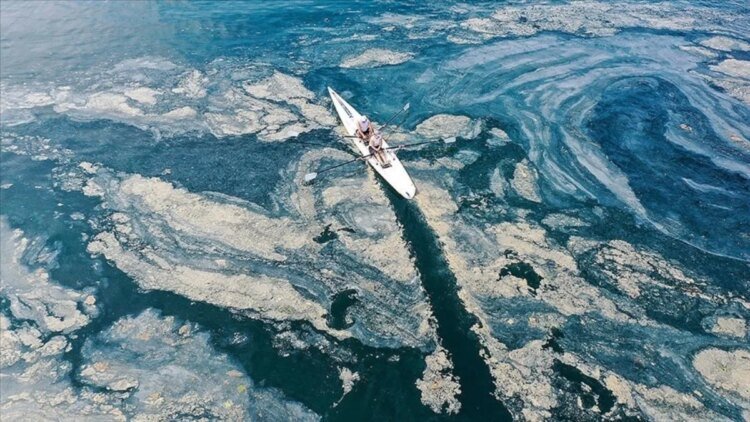 One of the biggest causes of mucilage in the Sea of ​​Marmara is untreated water.